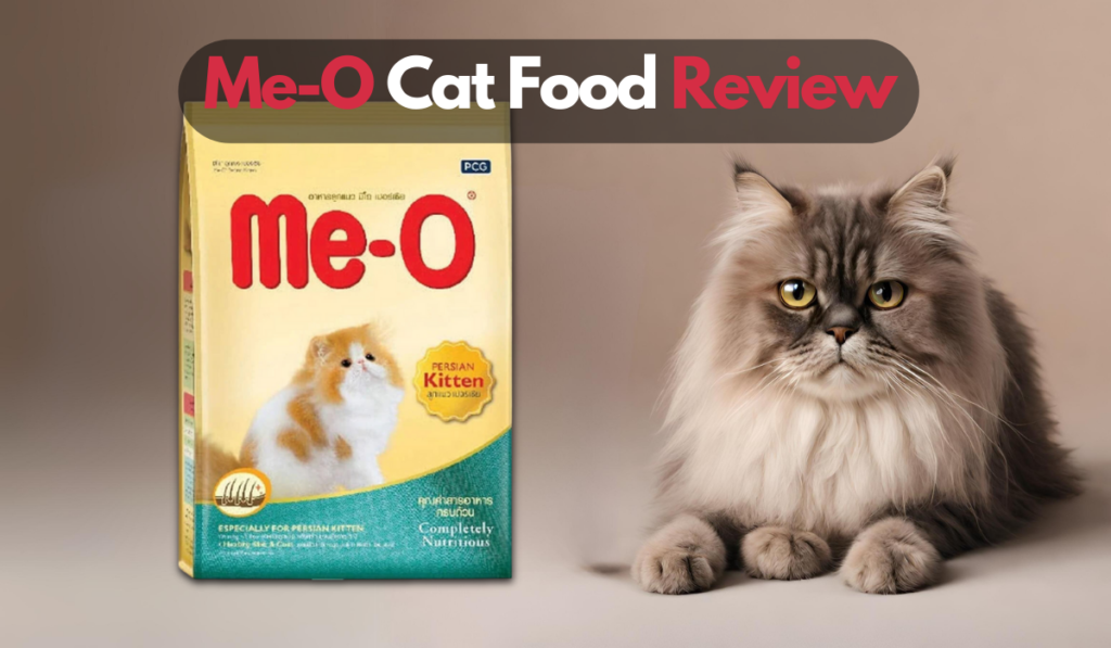 Meo Cat Food Review 2023